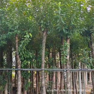 ˮ�̘�ˮ�̻�ˮ�����l6-20����