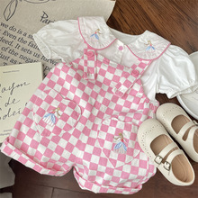 2024¿rͯbŮͯͯɫP񱳎ѝѝѝӱ