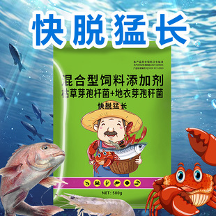 500�˿�Ó���L���rзˮ�a����