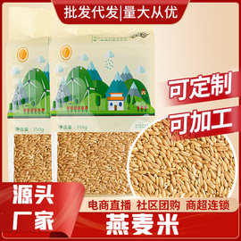 厂家熟燕麦米350g真空包装全胚芽燕麦裸燕麦粥破壁五谷杂粮批发