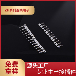 �S�ҹ���ZH1.5�B�@����ZH-Tĸ��ZH�ս�-T����ZH1.5��ĸ�����׶���