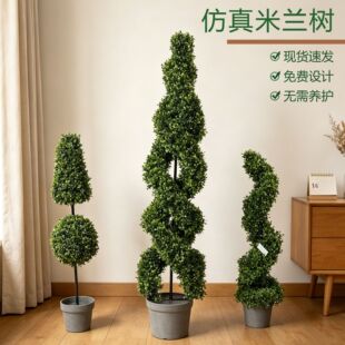 ���W�������m�������������������͘�͏d���P����Gֲ�b[��