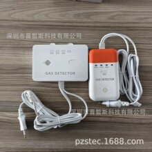 ��ó���ȼ����̽���� ��˹й©̽�ⱨ���� ��������ȼ��������
