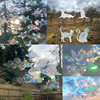 Reflection of colorful kitten crescent static film glass films without glue window film to remove window flowers