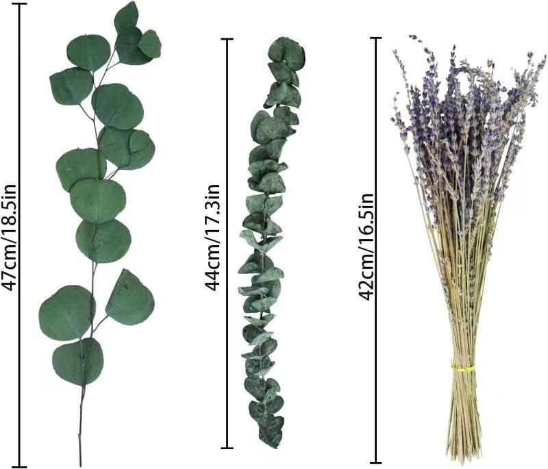 Dried flowers eucalyptus leaves combination suit copper money eucalyptus leaves immortal bouquet rabbit tail grass pampas grass cross-border wholesale Dried flowers eucalyptus leaves combination suit copper money eucalyptus leaves immortal bouquet rabbit tail grass pampas grass cross-border wholesale