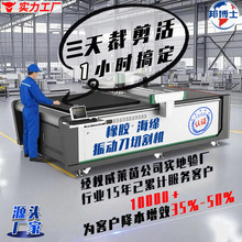 厂家定制 石棉石墨密封垫片异形免刀模裁剪机 橡胶振动刀切割机