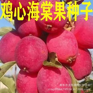 �������·N��2024���u�ĺ��Ĺ��|���u�Ĺ��N���\�����Ĺ�С�O����