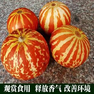 ��ˮ�ϷN����ϷN���^�pʳ���̨�������҃ȿ՚�h������ȥ����ζ