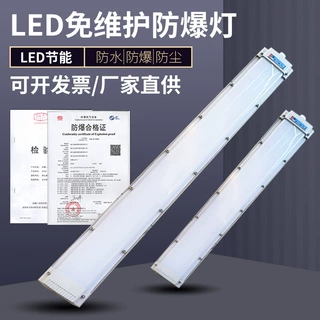 定制LED防爆荧光灯办公室工厂车间防爆灯管免维护吸顶灯IP65防护