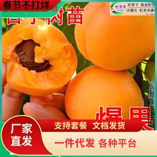 һ�����l���Ә���޽��Ә����ش��������Ϸ������Nֲ����Թ�����