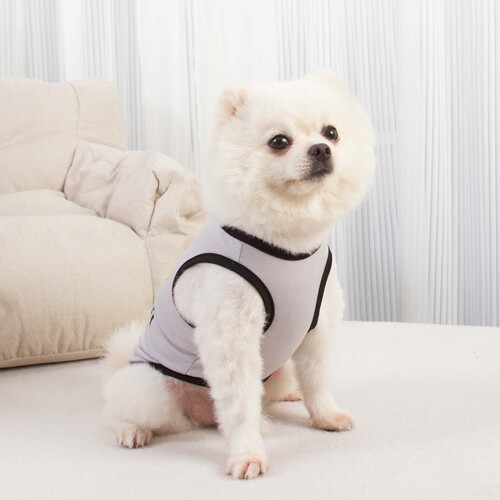 New pet clothing dog clothes cat clothes spring and summer thin vest glasses flash version YE249005