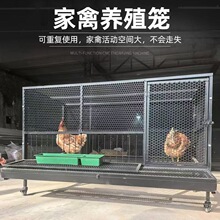 ��������u�\���\���ӻ\�Ԅ��յ���͵�Բ��P䓾WƬ����\��������