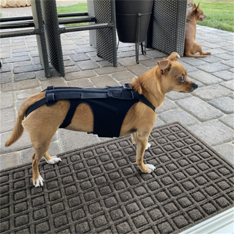Cross-border dog back support IVDD to relieve back pain relief pain injury support dog vest wholesale