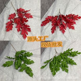��c���滨�~����~���Ż����廨�b���������쾰�ٻ����滨�~