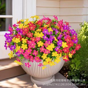 �������滨���������ȼ����ٽz���Ҿӑ����c�b�