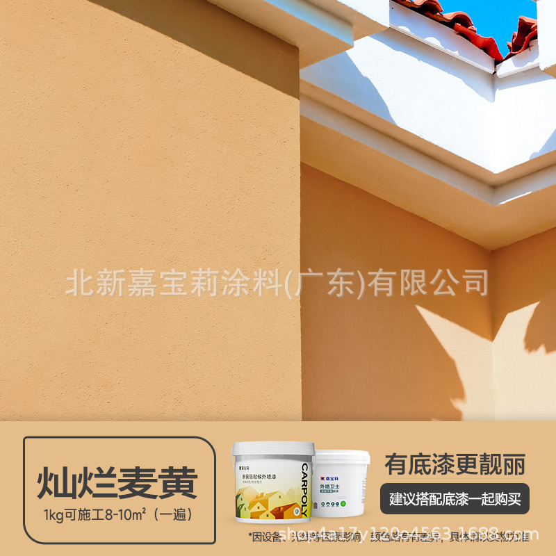 핫 판매 모델 [Xinjuli 방수 및 내후성] 브릴리언트 밀 옐로우, 1kg