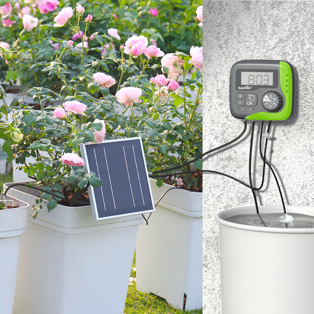 画板 1 拷贝 11.jpg