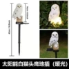 White owl