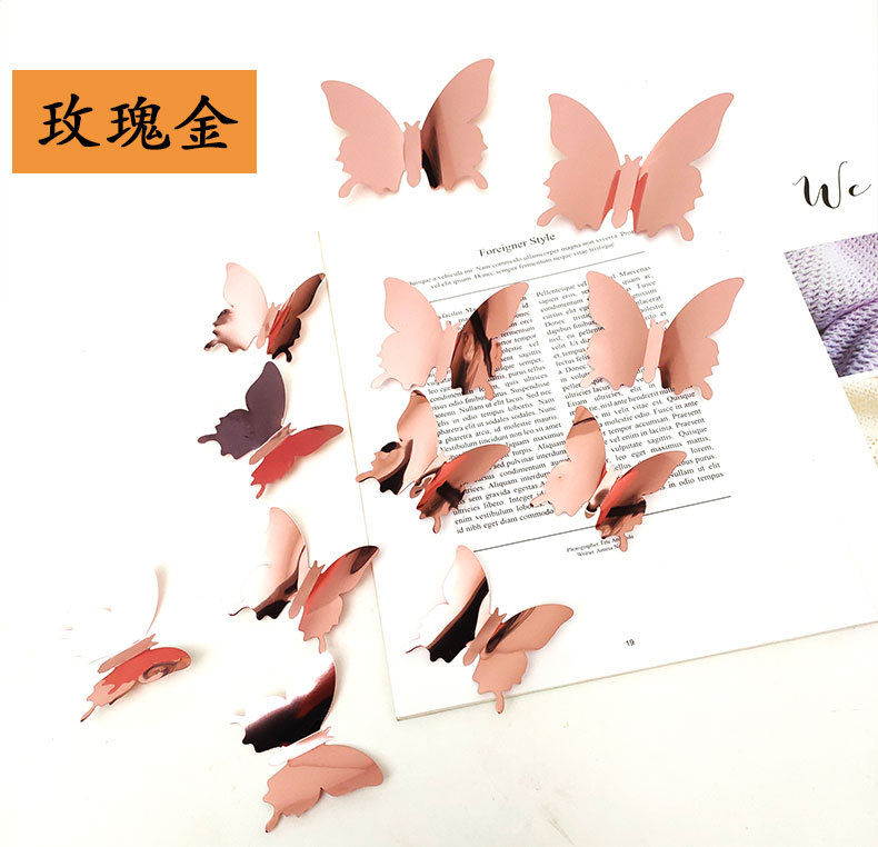 镜面蝴蝶详情_02.jpg