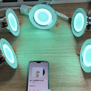 Development of a One-To-Many and Multi-To-One Lighting Control Bluetooth Solution, Music Downlight and Music Bulb Bluetooth Controller