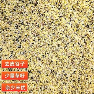 С�B�Zʳ��Ϲ���С�ײ���ԭ�Z�����u����W�^���L��Ƥ����С����