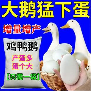 �Z�µ�/߅��߅��/�u���Zͨ�ôߵ�������������õ��µ��൰��M