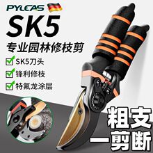 SK5�����@ˇ�����P�ʡ���޼���֦���ü��ӏS��ֱ�Nһ�����]�S��