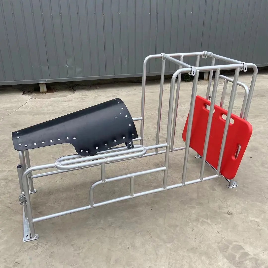 Rack de semilla de cerdas elevación rack de semilla de cerdo pie bajo rack de semilla de suelo galvanizado en caliente soporte de recolección de semilla