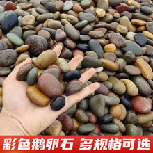 ����ͥԺ�Z��ʯԭʯ䁵��껨ʯ��Ȼ���ʯ�@�ֹ����·�ò�ɫʯ�^