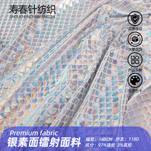 源头工厂银素面镭射鱼鳞面料人鱼姬服装布料反光渐变七彩烫金布