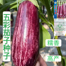 ������ӷN�ӻ�Ƥ���ӷN�ӻ��L�ѷN�Ӵ��＾�̨�����ļ��߲˷N��
