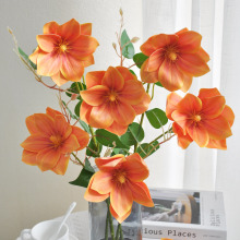 ���R�d�F��ɏ�ٻ�����Ʒ�b��\��ɫ�羳�Wʽ��@�L���܆�֦�ٻ�