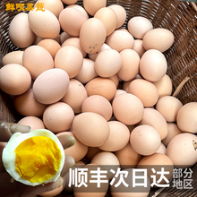 貴州土雞蛋農家散養農村包谷烏骨綠殼雞蛋新鮮草雞蛋柴雞蛋40枚