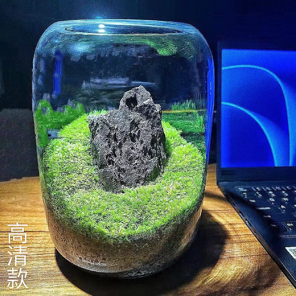 Tanque de vidrio redondo creativo mesa transparente engrosado acuario de peces dorados sala de estar micro paisaje árbol de vida botella ecológica