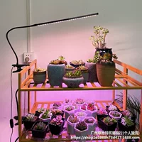 Оптовая светодиодная лампа для растений с полным спектром, функцией таймера, клипсой и защитой от задержки роста, для суккулентов и горшечных растений
