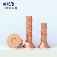 ����T2���~���M3-M8�t�~���^�������ݽzƽ�^��������˨�C���