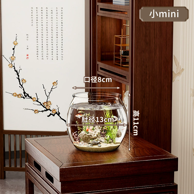 Transparent small square acrylic aquarium for office