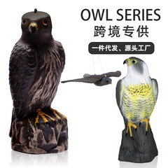国境を越えた花園のタカはネズミの餌を駆除して鳥を怖がらせます。
