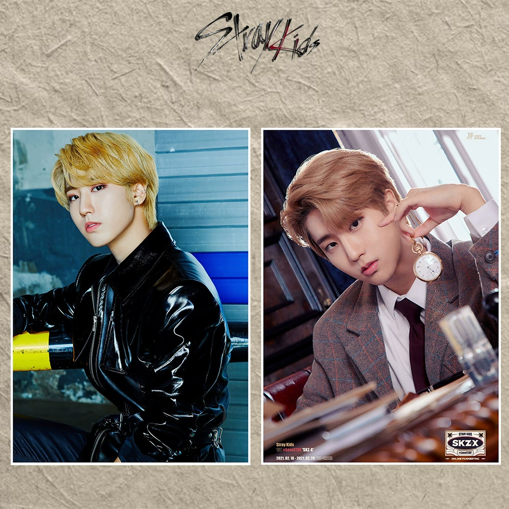 Странники (Stray Kids) встреча поклонников SKZ-X постер стикер-плакат фотографии SKZ олень патч патч