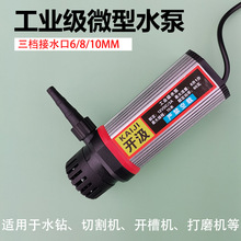 ����12V΢�͝�ˮ�ü���220Vˮ��ˮ荴���и�C�_�ۙC����Сˮ��