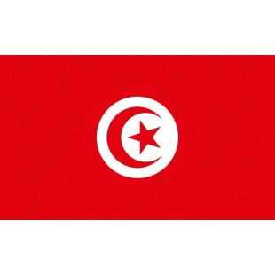 90*150cm Tunisia flag in stock 3 * 5Ft polyester flag manufacturers Tunisia flag cross-border supply