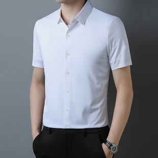 The main push brand mulberry silk short sleeve shirt men's business seamless ice feeling silk non-ironing high-end shirt direct sales