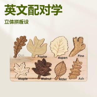 �羳��ĸƴ�D������ץ�僺ͯ��̆����������Ӣ���䌦���wƴ����