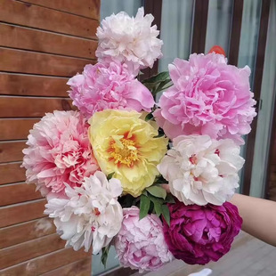 ���l ��ș���玧ѿ�l؛��������ș���K��ș�N��Ʒ�N�Rȫ ����r��