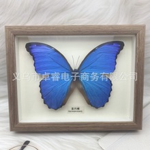 ������˱��������{�W�������P�����նY���Ҿ��b[���ղ�