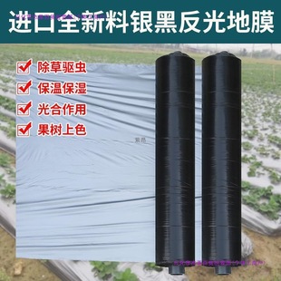 Agricultural Thickened Silver and Black Two-Color Reflective Mulch Film for Weeding, Insulation, Weed Prevention, Planting, and Insect-Proof Plastic Film