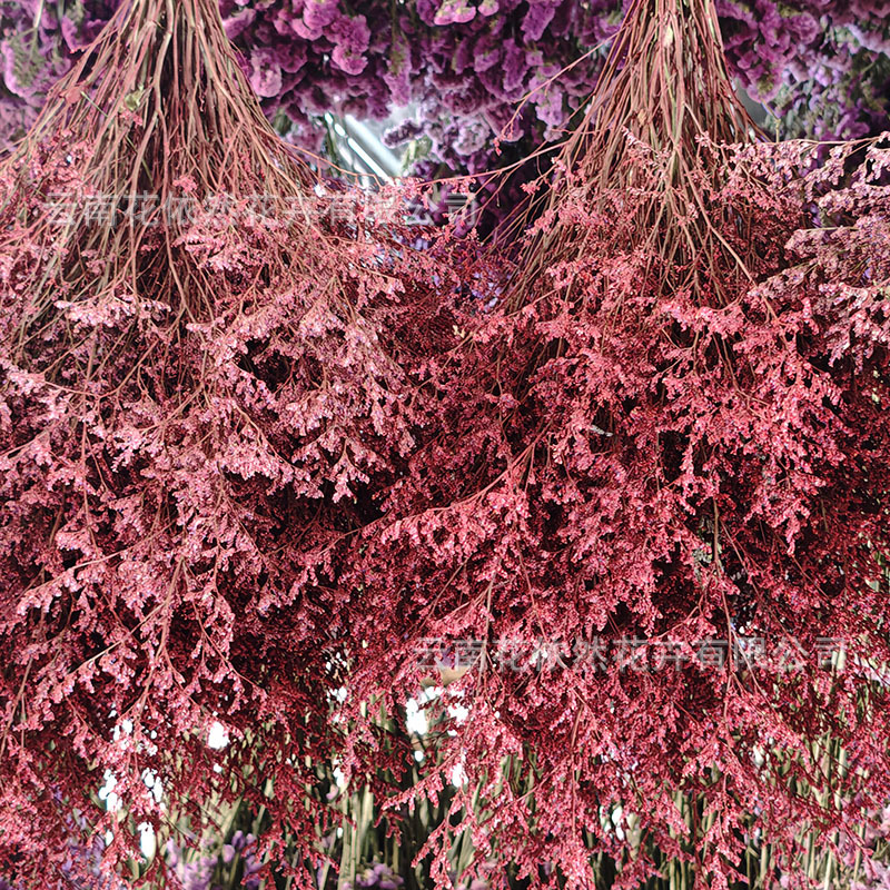 微信图片_20250404164811