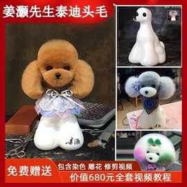 姜灏先生teacher jiang宠物美容练习假毛全身毛泰迪头模特狗修剪