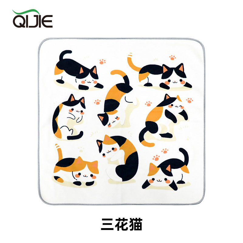 삼색 고양이