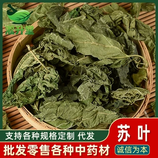 中药材批发供应 苏叶紫苏叶单双面紫苏中草药新货不熏硫可食用